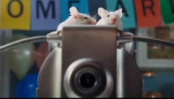 Hitchhikers mice Meme Template