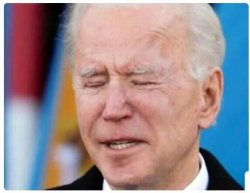 Biden Breakdown Meme Template