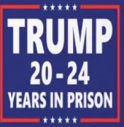 Trump 2024 20-24 years in prison Meme Template