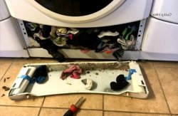 The washer ate the socks Meme Template