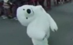 Parade polar bear with broken neck Meme Template