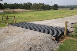 Cattle guard Meme Template