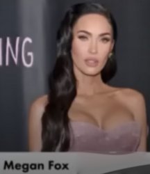 Megan Fox Meme Template