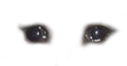 crying eyes Meme Template