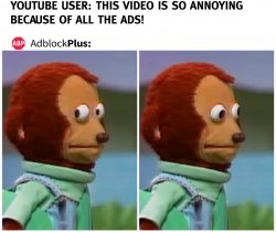 Adblock is a thing Meme Template