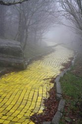 Follow the Yellow Brick Road to the Abandoned Land of Oz Meme Template