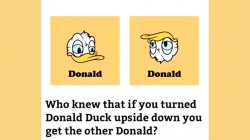 donald duck, donald trump Meme Template