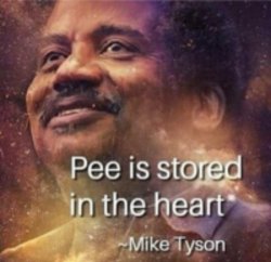Wise Meme Template