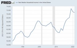 Real median household income USA Meme Template