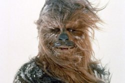 Wookie Meme Template
