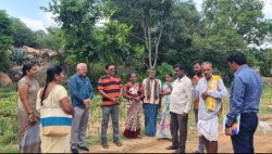 Random Meme Template