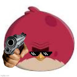 THE BERD DOSE NOT APROVE Meme Template