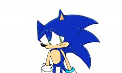 No Girls Sad Sonic Meme Template
