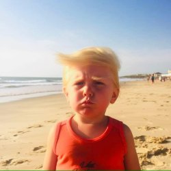 Six year old Donald Trump Meme Template