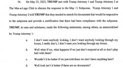 Paragraph 54 indictment Meme Template