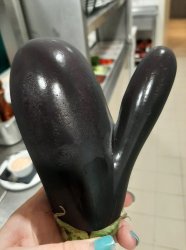 Eggplant Meme Template