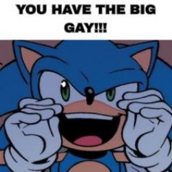 sonic you have the big gay Meme Template