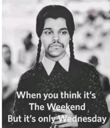 Weekend or Wednesday Meme Template