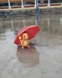 pokemon charmander in the rain Meme Template