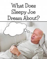 What does sleepy Joe dream about Meme Template