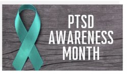 PTSD Awareness Month Meme Template