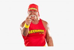 Hulkamania Meme Template