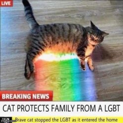 Cat protects family from LGBT Meme Template