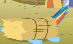 rainbow dash :) Meme Template