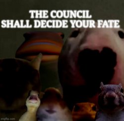 THE COUNCIL SHALL DECIDE YOUR FATE Meme Template