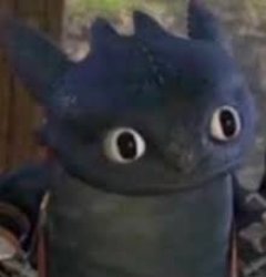 Toothless stare Meme Template