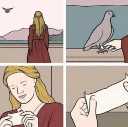 Pigeon letter delivery Meme Template