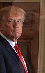 trump Meme Template