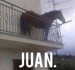 Juan Orginal Meme Template