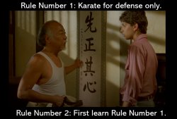 karate kid defense only Meme Template