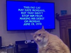 Fat cat that hates mondays Meme Template