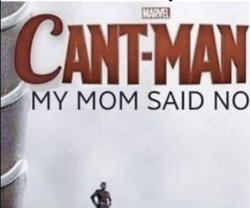 Can't man Meme Template