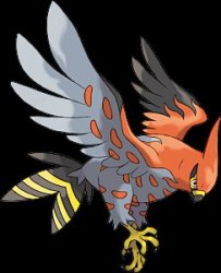 talonflame cool Meme Template