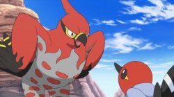 talonflame talking to it's son Meme Template