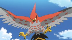 talonflame getting ready to battle Meme Template
