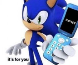 sonic therapy calls Meme Template