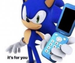 sonic its for you Meme Template