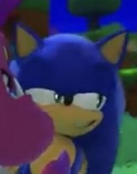 sonic lenny face Meme Template