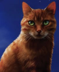 Firestar Meme Template