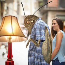 Distracted Moth Meme Template
