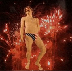 Fireworks celebration Meme Template