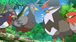 pokemon regional birds Meme Template