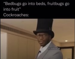 Cockroaches Meme Template