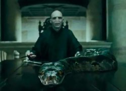 Voldemort Nagini Meme Template