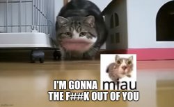 I'm gonna miau the f##k out of you Meme Template