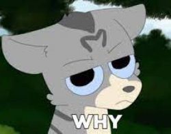 Jayfeather Meme Template